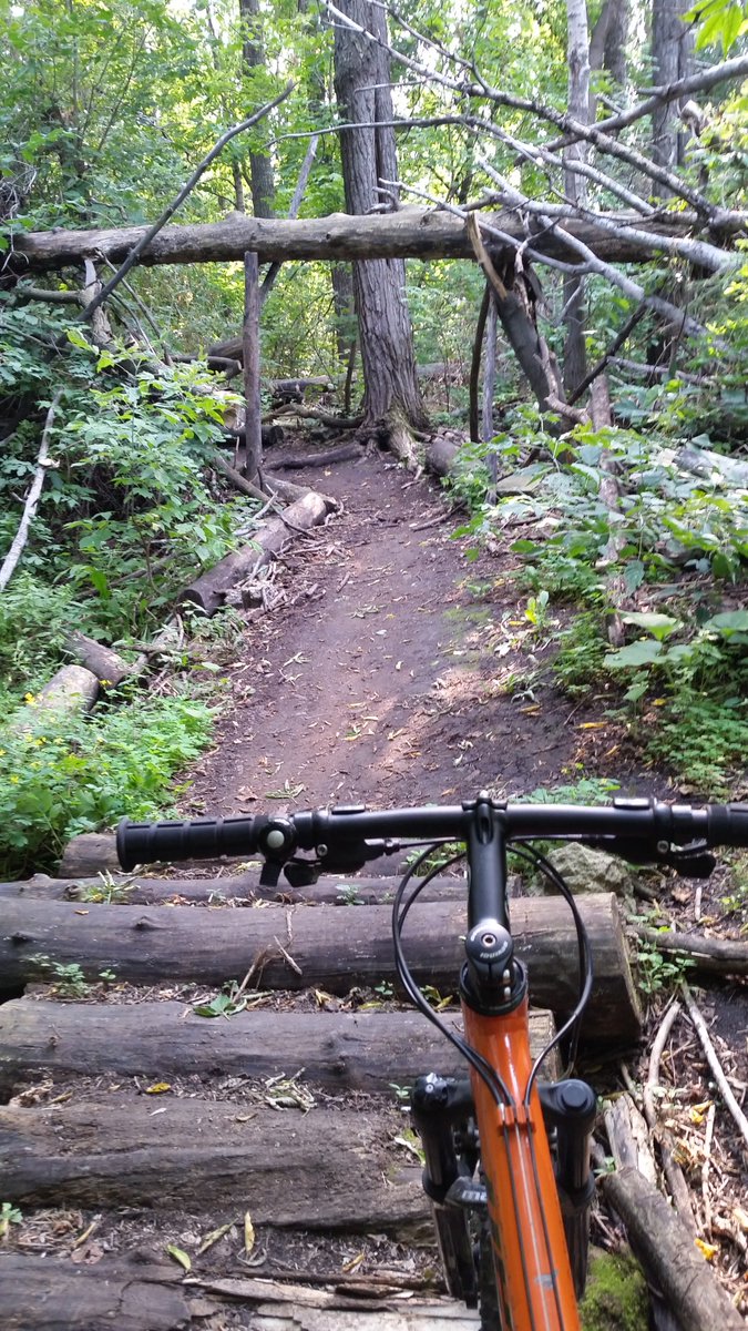 Went on (very slow) mtn bike ride tonight (first since the back injury) and kinda liked the trail work. Is that a Chinese arch tribute?