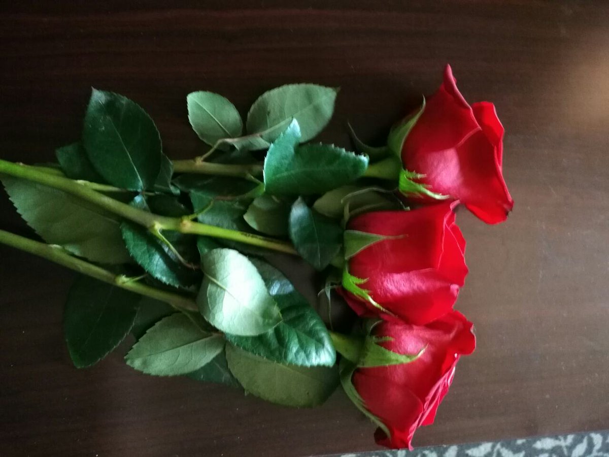 DLingstein's tweet image. Some really nice rose.. Waiting to be taken, who's the one for it?