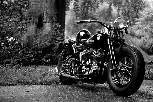 @EveOfNite <a href="/filipepontog/">FILIPE BIKER ZONE Oficial®</a> <a href="/StahlKrystal/">🦋Krystal XOXO</a> <a href="/MontanaS20/">Call me Chi ~♊😎✌</a> @stardustbabe001 <a href="/ViktorMochalin/">mochalin viktor</a> <a href="/davidz67/">David</a> <a href="/tiziana_tynihal/">Tiziana</a> <a href="/haywired1950/">Haywired1950  42.2K</a> <a href="/cocozzarod/">Vincenzo Cocco Bill</a> <a href="/wilsuk/">Wil Suk</a> @Inky38578173 @johnluyks <a href="/jeanRamette/">jean Ramette</a> @Easy_Rider44 @DurhamDivasMC <a href="/George23087240/">George</a> @Ken_Twit_133 <a href="/mc_bless/">✞GOD BLESS MC</a> <a href="/jprez40/">⚡️JP💛</a> <a href="/CAT1PRO/">KANSAS BORN</a> <a href="/roy_spyder/">biker4life</a> <a href="/CAllstadt/">#Maya</a> <a href="/Douglas82476113/">Douglas</a> <a href="/barillas_edgar/">Edgar</a> <a href="/BlissfulxDemise/">𝔅𝔩𝔦𝔰𝔰𝔣𝔲𝔩☠𝔇𝔢𝔪𝔦𝔰𝔢</a> <a href="/razzell2/">Russell 🖤</a> <a href="/lunatic0915/">wild</a> <a href="/Clara749463851/">CLARA</a> <a href="/Salazargus3/">gus salazar/Backyard🙏🏽🏆</a> <a href="/OliverDublange/">👊🌊🏄‍♂️🐬🏄‍♀️🦎🛴🇺🇦🍀🤙</a> <a href="/PatriceCottin/">🇲🇫 Patrice COTTIN 🇲🇫</a> <a href="/cuckoldsp33/">Cuck</a> <a href="/anonzeus3/">Zeus Anon</a> <a href="/fernride4life/">Fern☠️🚜🏍️</a> @juliangolfs @KromeDomeBiker <a href="/zepiron/">zep</a> <a href="/earthgirls365/">Outdoor Beauties</a> <a href="/OhanaSurfPro/">Ohana Surf Project 🌊</a> <a href="/seasolshades/">Sea&SolShades</a> <a href="/SurfersRoom/">SurfersRoom! 🌻 🇺🇦</a> @jxjs12 @surficidal <a href="/surferquotez/">Surfing Quotes&Babes</a> <a href="/zurupeto35/">OSCARMATA</a> <a href="/DirtbikeJ/">Dirtbike_joe</a> <a href="/Vivi_AnnJa/">ViVz👑</a> @BikerVerve <a href="/TheScreamBike/">Harley V-Rod Scream</a>