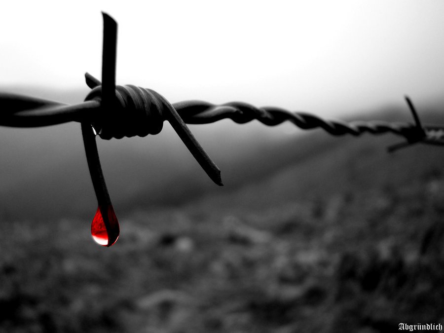 -Celui qui meurt en ayant fait couler le sang d'innocents n'est ni martyr ni héros...ROB'