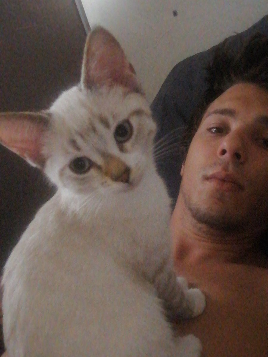 MaximeCorrea's tweet photo. Morning hug 🔥✴️💜
__
#Catfish #kitten #cute #cuteanimals #Hello https://t.co/6fcLurchlO