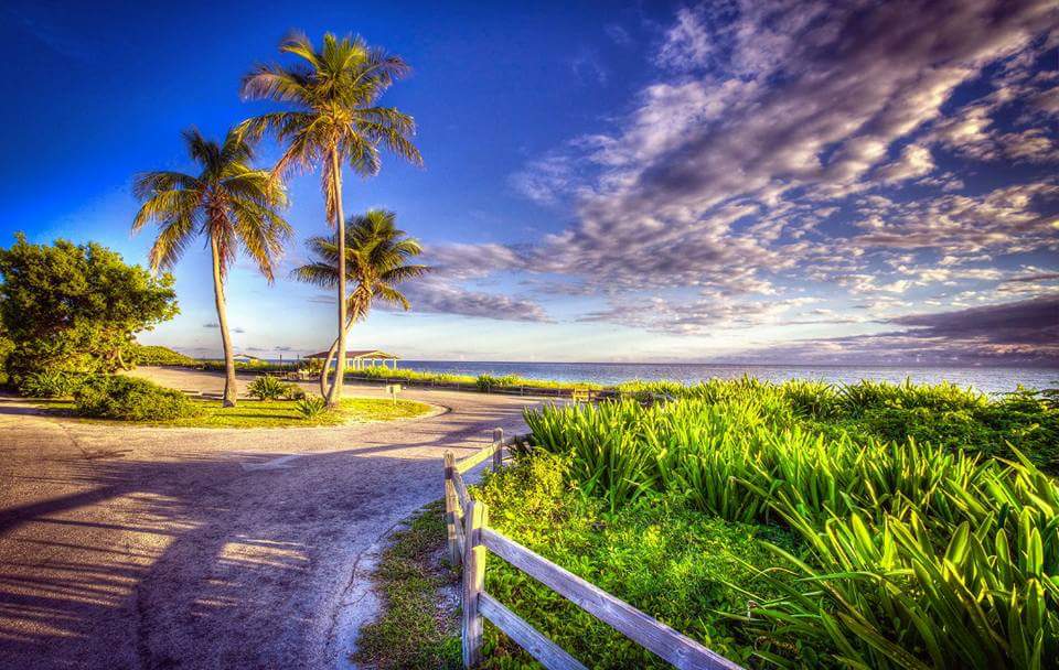 learningdept's tweet photo. If only we could experience how it feels like to wander across the globe with the right guidance.

Have a good weekdays everyone 😊

#medu https://t.co/zKC1uW7ryw
