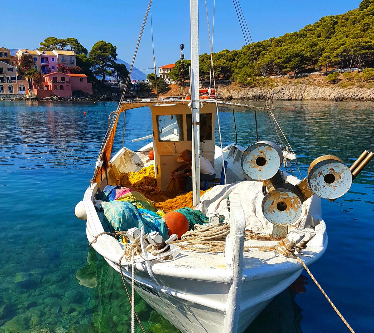 mariagrigoriad8's tweet photo. @TatyanaTevi @47panagiotis @spirosmouries1 @dhmhtroula19621 @z0uzouna @mitsikatsi Καλημέρα Τατιάνα 🌸κ σέ όλους παιδιά🐬☕🍀🌺 https://t.co/yrEJIV7J8p