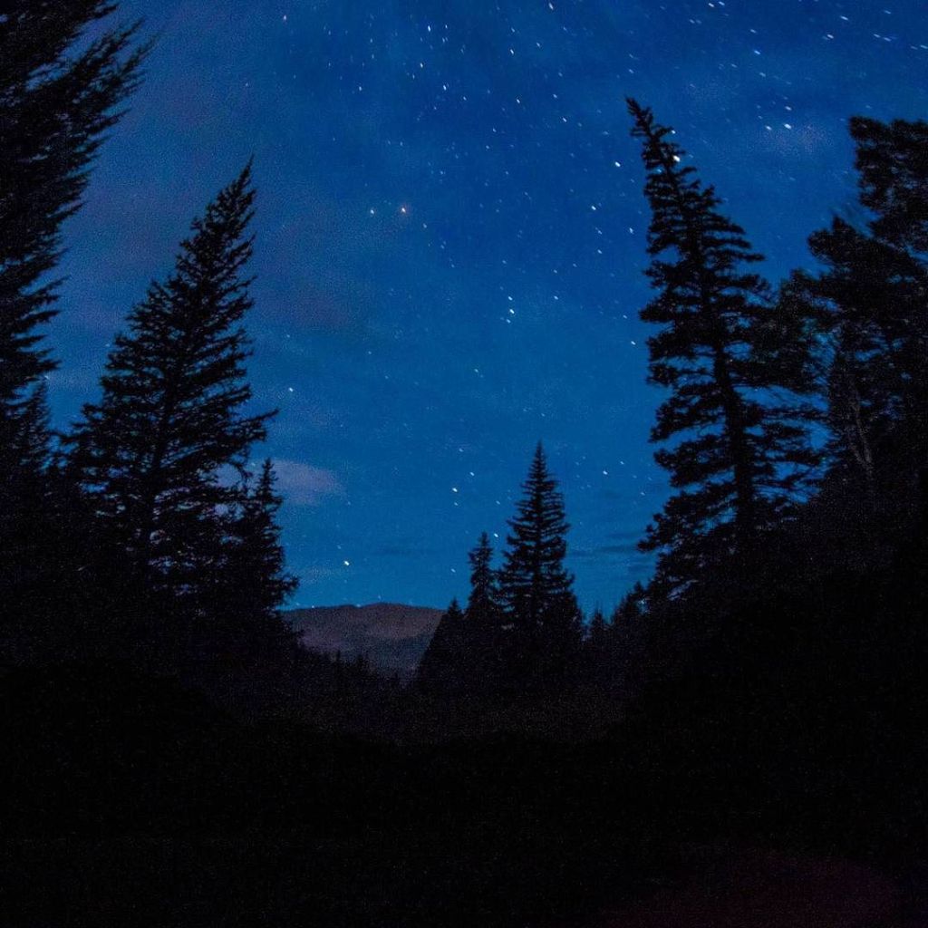 August 16, 2017 at 12:31AM dracophoto.com/august-16-2017…