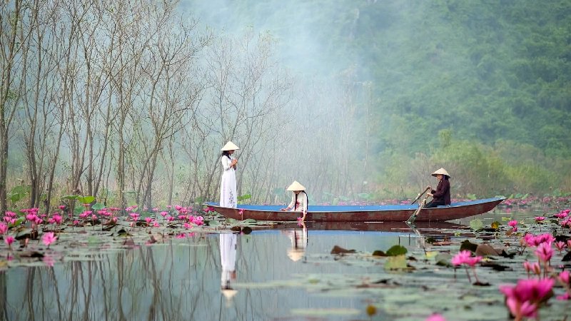 VietnamTypical's tweet photo. Immersed in The Charming Beauty of The Yen Stream in Lilies Season 🌷https://t.co/IfOGYiKOf8
#Yenstream #Viettravelmagazine #Travelmagazine https://t.co/oC0kA1KjFy