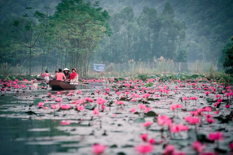 VietnamTypical's tweet photo. Immersed in The Charming Beauty of The Yen Stream in Lilies Season 🌷https://t.co/IfOGYiKOf8
#Yenstream #Viettravelmagazine #Travelmagazine https://t.co/oC0kA1KjFy