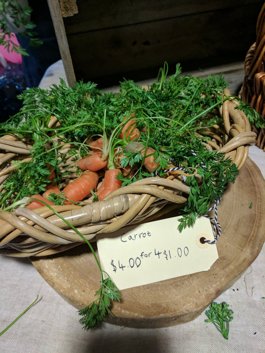 MGGS_SouthYarra's tweet photo. Tonight the girls are selling organic vegies from their garden for #natsciweek2017 #nationalscienceweek2017 #mggs_morrishall #mggs_STEM https://t.co/EgUV5sE5ir