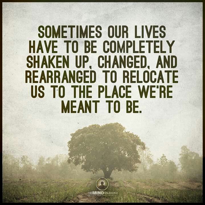 GrindNGrow's tweet photo. "If nothing ever changed, there'd be no butterflies".
 Whatever you are aiming for, whatever you dream of or pursue, it all starts with you. https://t.co/6Uk6wfb8LX