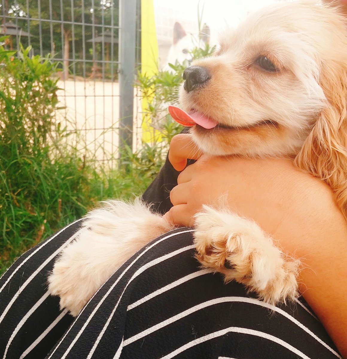 어떻게살더라 tweet media