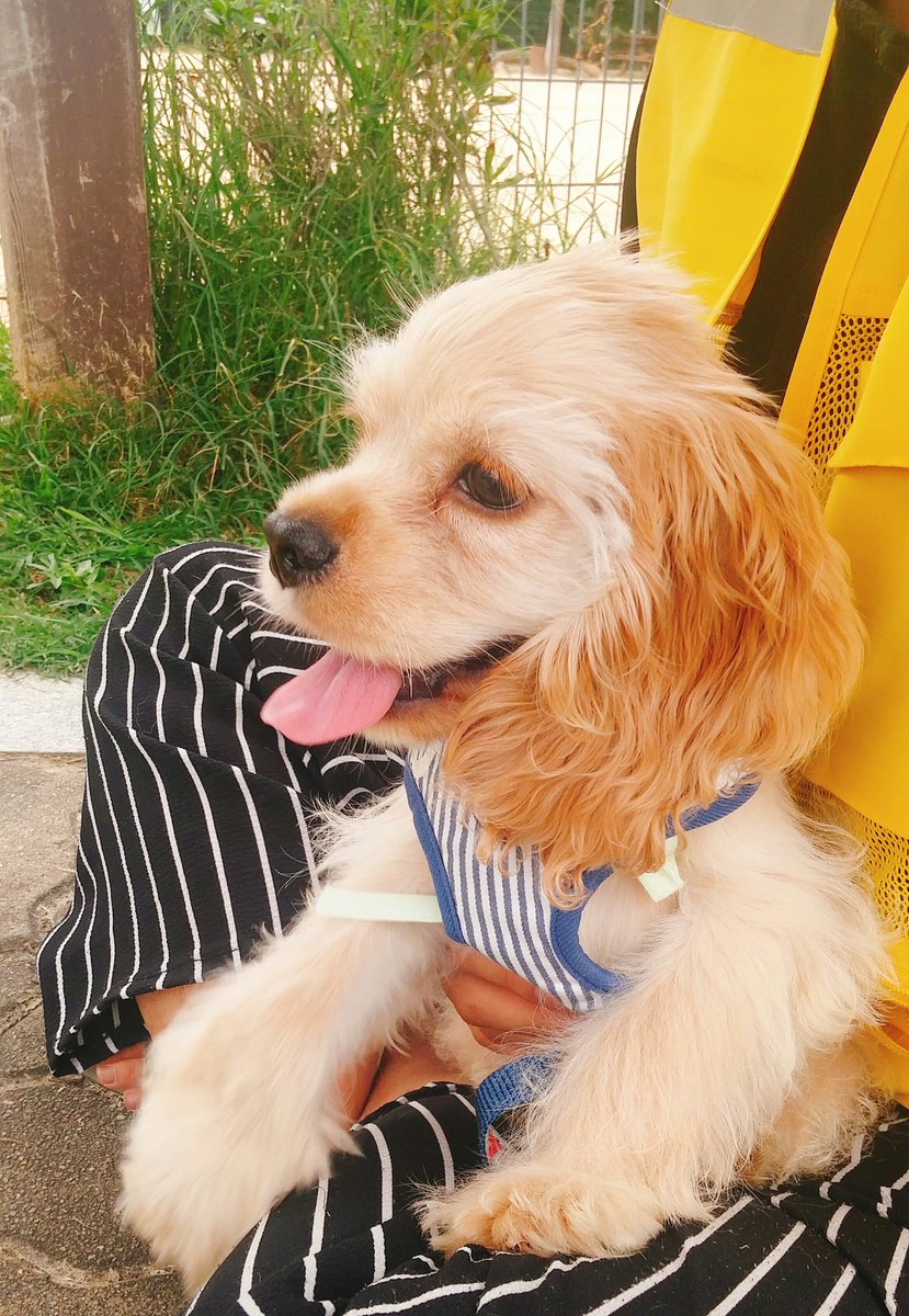 어떻게살더라 tweet media