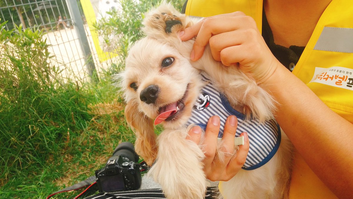 어떻게살더라 tweet media