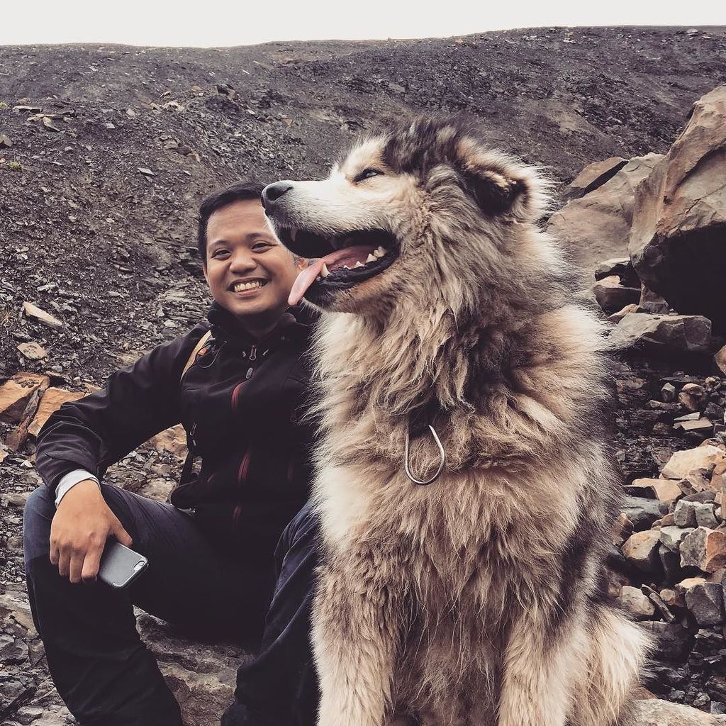 25travels's tweet photo. I didn't find a polar bear but I found him instead. ๐ถ๐ฆ๐ปโค๏ธ.
.
.
.
.
.
.
.
.
#polardogs #svalbard #hiking #winter #lโฆ https://t.co/AOeeV3uYP3 https://t.co/y8RLsqAZd9
