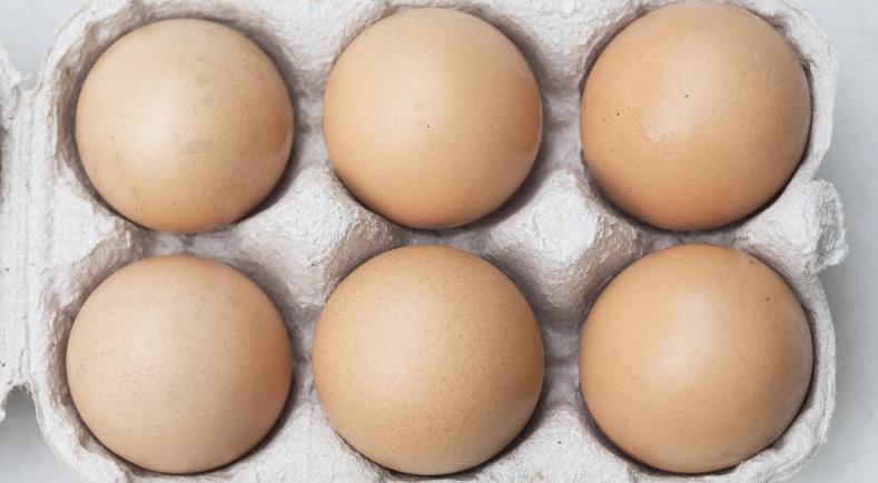 #Alimentation Étiquetage des œufs : mode d'emploi agriculture.gouv.fr/etiquetage-des…