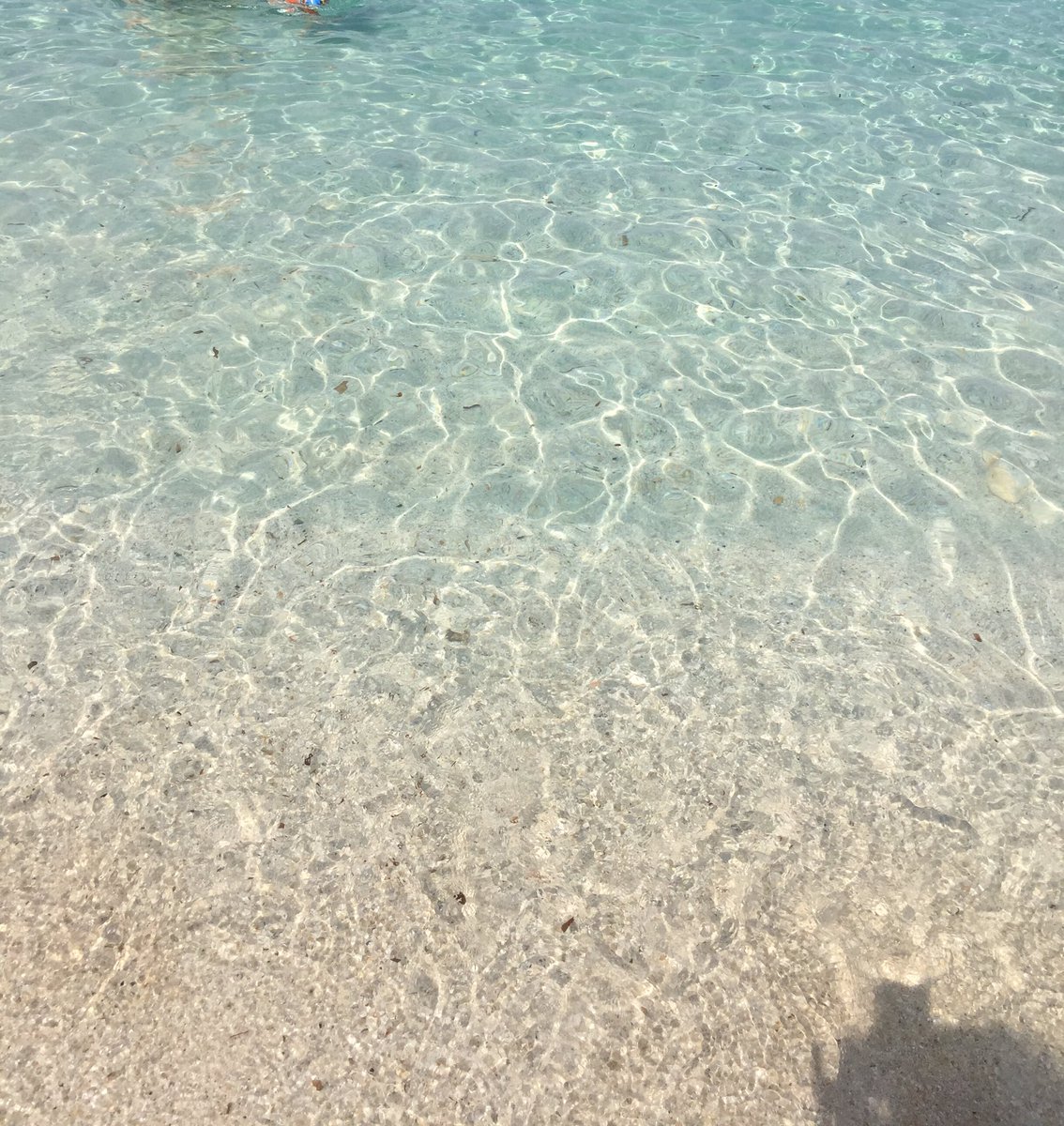 anna_puggioni's tweet photo. Mare con la "M" maiuscola ! https://t.co/gdEDj9GqPv