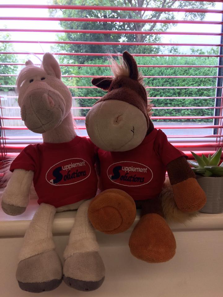 SupSolutions's tweet image. We're back! ...sorry for the Twitter absence recently! We've been busy sending you and your horses lots of parcels!