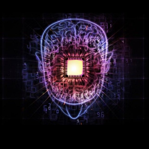 spiritualbrain1 tweet picture