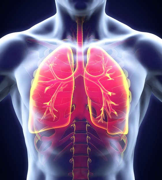 Asthmatic Smokers Urgently Need To Quit Now And Start Vaping
stum.pe/qk4