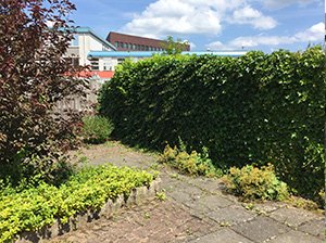 Project Hovenier Helpt: Rolstoel vriendelijke tuin met weinig onderhoud.
hovenierhelpt.nl/verwijderen-kl…