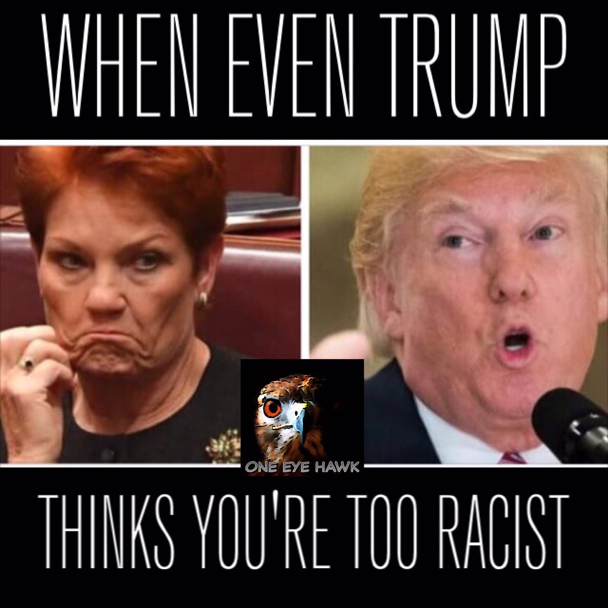 OneEyeHawk's tweet image. That face you make when your best mate thinks you're too racist. #trump #paulinehanson #racism #racist #onenation #auspol