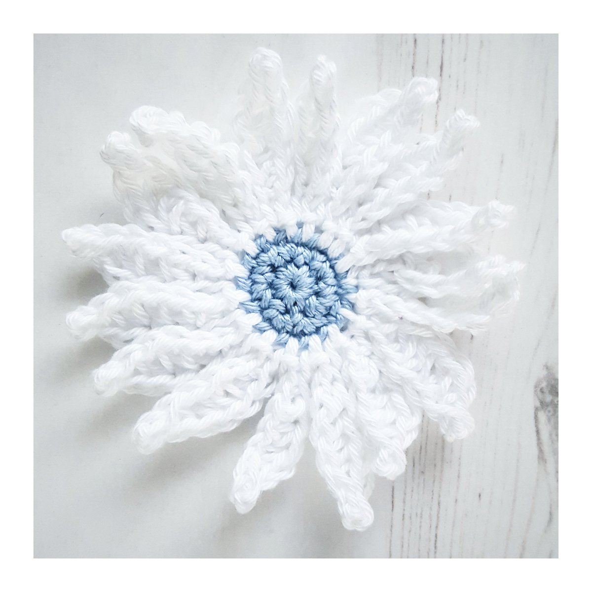 crochetteaparty's tweet photo. Daisy! Pattern by @just_pootling
#crochetflower #crochetmotif #crochet #haaken #virka #ganchillo #patonscotton #patons #sirdarcotton #sirdar https://t.co/Pi6v6VFOIY