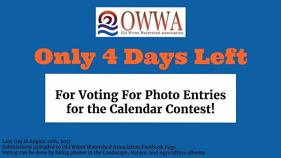 OWWA_SummerTech's tweet image. Our second annual calendar contest is coming to an end, so please vote now for all of your favorites! All photos on our FB page photo albums