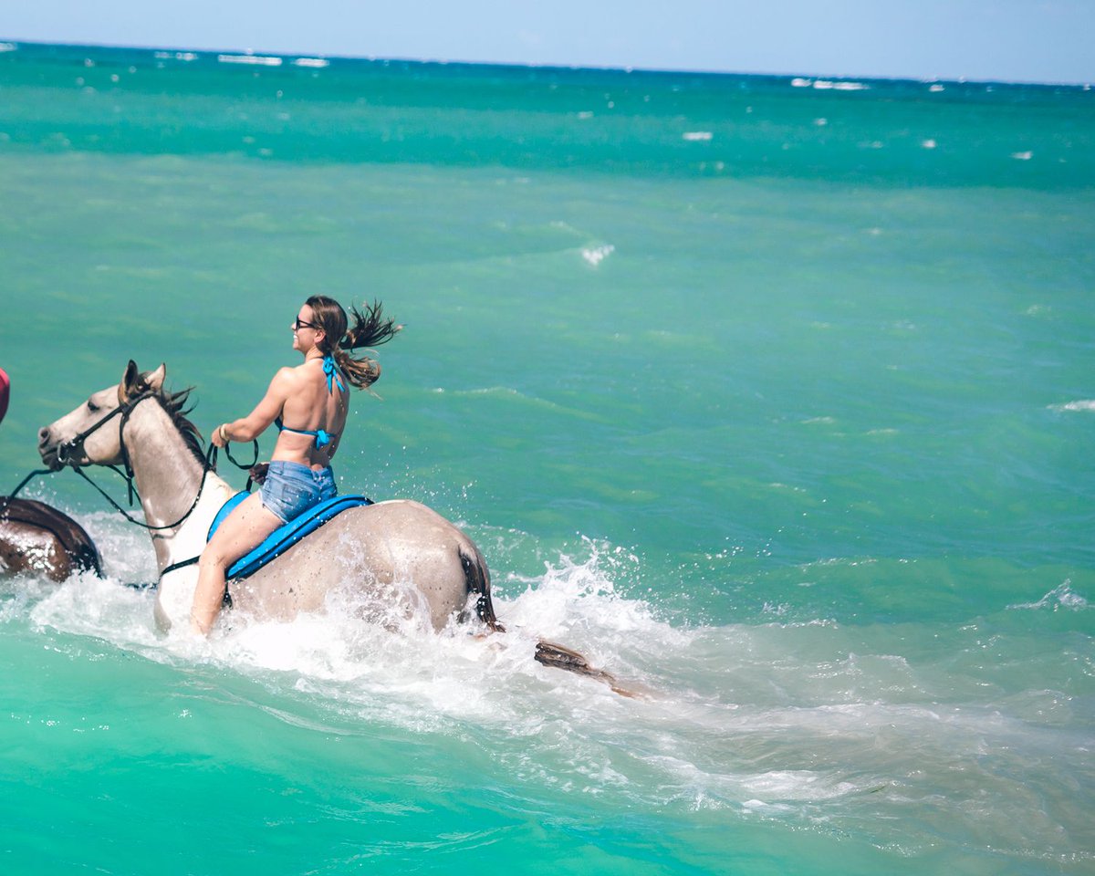 roamaroo's tweet image. If you ride a horse in the ocean, is it called a seahorse? #travel #horses #horsebackriding #jamaica #beach
