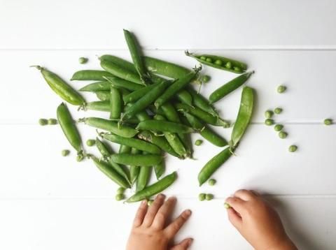NomNomKidsgo's tweet photo. Learn all about the nutritional facts of seasonal produce by @HappyHealthyTum 
https://t.co/UTyeVK19LD
#foodfacts #healthyeating #nutrition https://t.co/ond6cuENeB