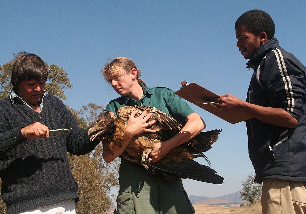 Taking a look at our participants for Rhino Peak.. We are joined by Sonja Krüger, Ecologist <a href="/EZEMVELOKZNWild/">EZEMVELO KZNWildlife</a> facebook.com/rhinopeakchall…