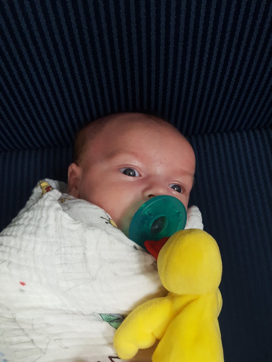 TriInsurance's tweet image. When is too early to put kids to work? Asking for a friend....