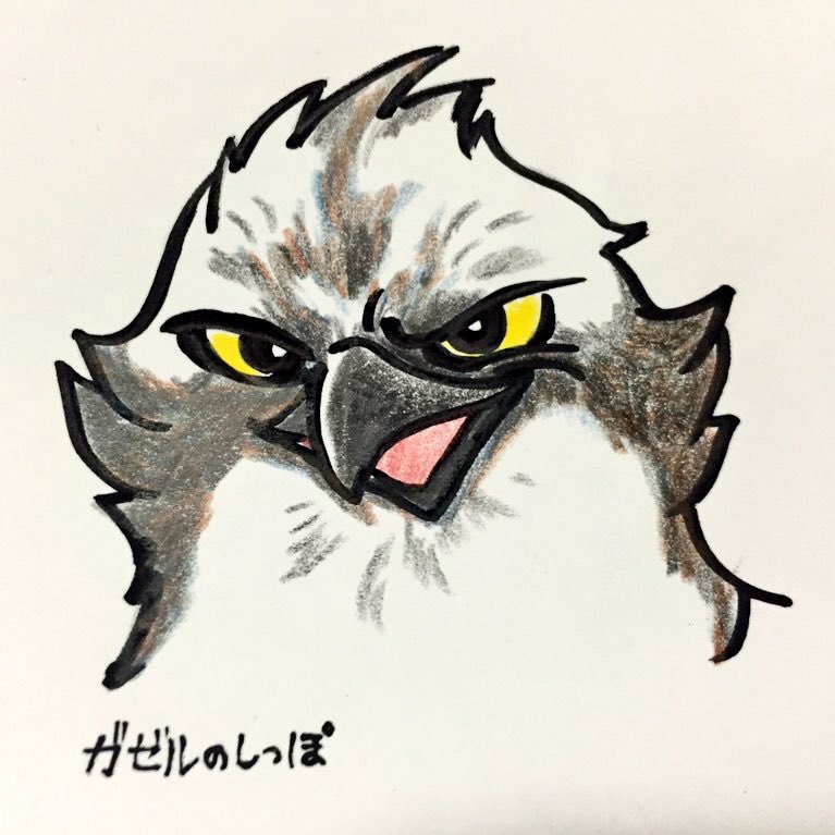 ガゼルのしっぽ Gazelle S Tail Twitterren ひトリ言 キャラクターっぽく描いたミサゴと リアルに描いたミサゴ ミサゴは猛禽類の中で一番好き T Co Msejbxuvio Twitter