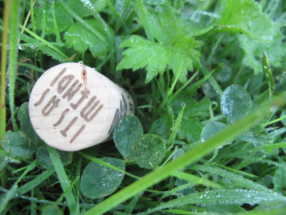 Egunon denori, buenos días! El amanecer en los #viñedos ... se respira #naturaleza