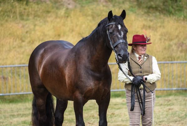 Some of our qualifying competitors  #allenandpagefeeds