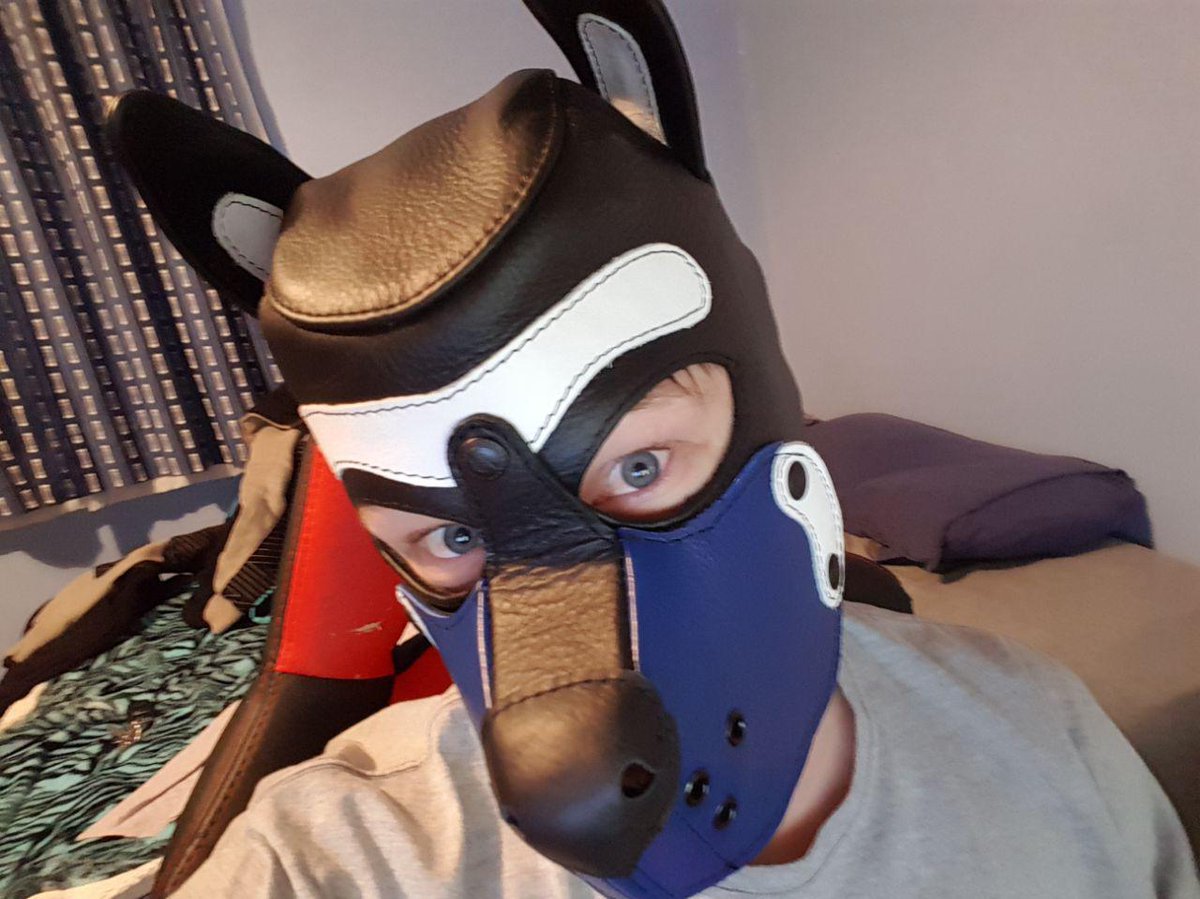 Blue_Buns's tweet photo. Finally got myself a bork hood https://t.co/t1kIKuxEP8