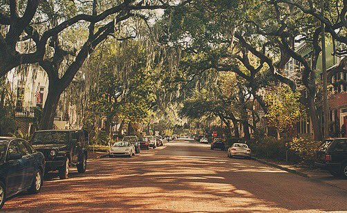 SavannahRaesPop's tweet photo. Can we make our Pumpkin flavors yet?? #Savannah #Popcorn https://t.co/HjrTnVAmsH