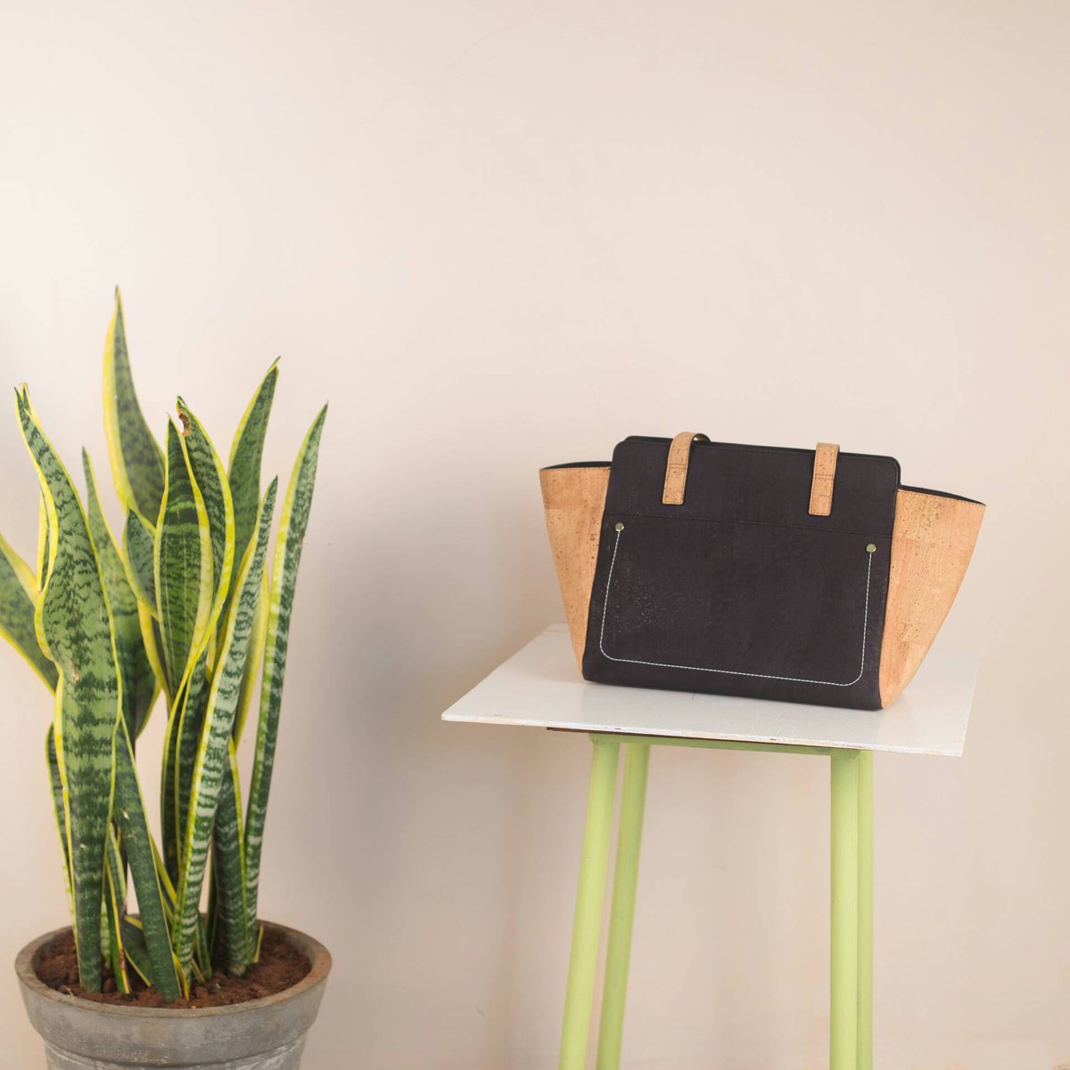 Two of our passions captured in one frame! Explore the Cierra Mini on ow.ly/yHUQ30erC1X