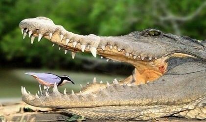 bossLLAB's tweet photo. #mutualism. A #concept that says a #mutuallysupportive #environment #leads to a deeper #social #wellbeing.#Teamwork does make the #dreamwork https://t.co/3sgYke5jVb