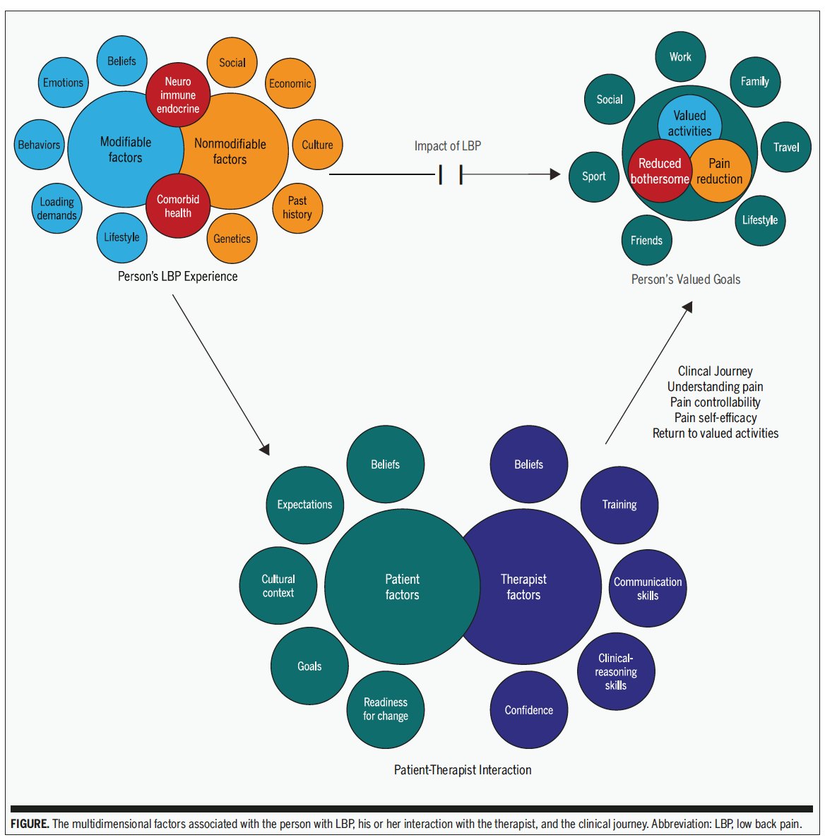 PeteOSullivanPT's tweet image. Whats important in the clinician - client relationship? jospt.org/doi/pdf/10.251…