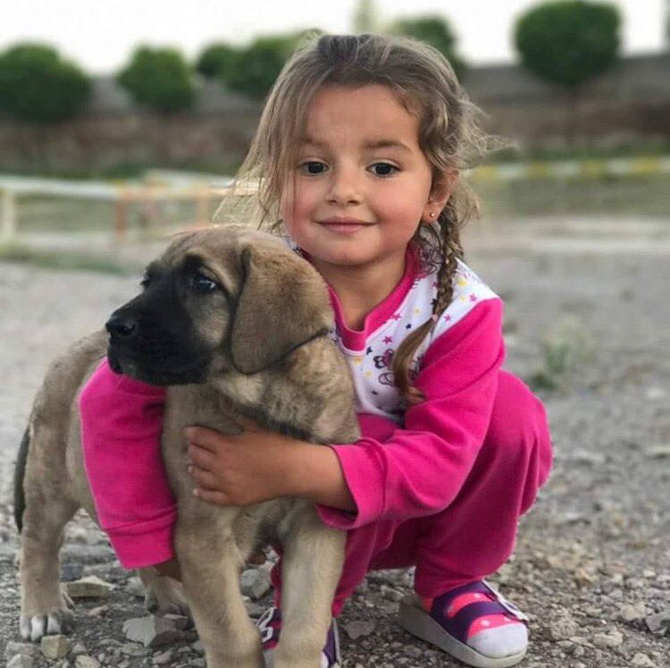 Bunlar benim tatlılarım  ya.🤗