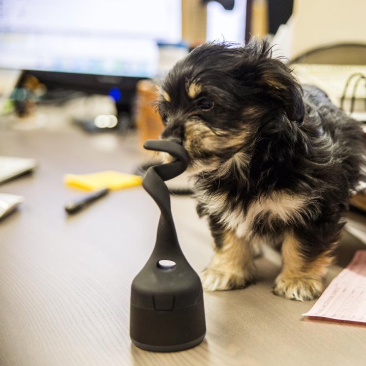 PolkAudioUK's tweet photo. Happy Hump Day! Get through your day at work with added music #WorkAndPlay https://t.co/b4sI1xm6Jl
