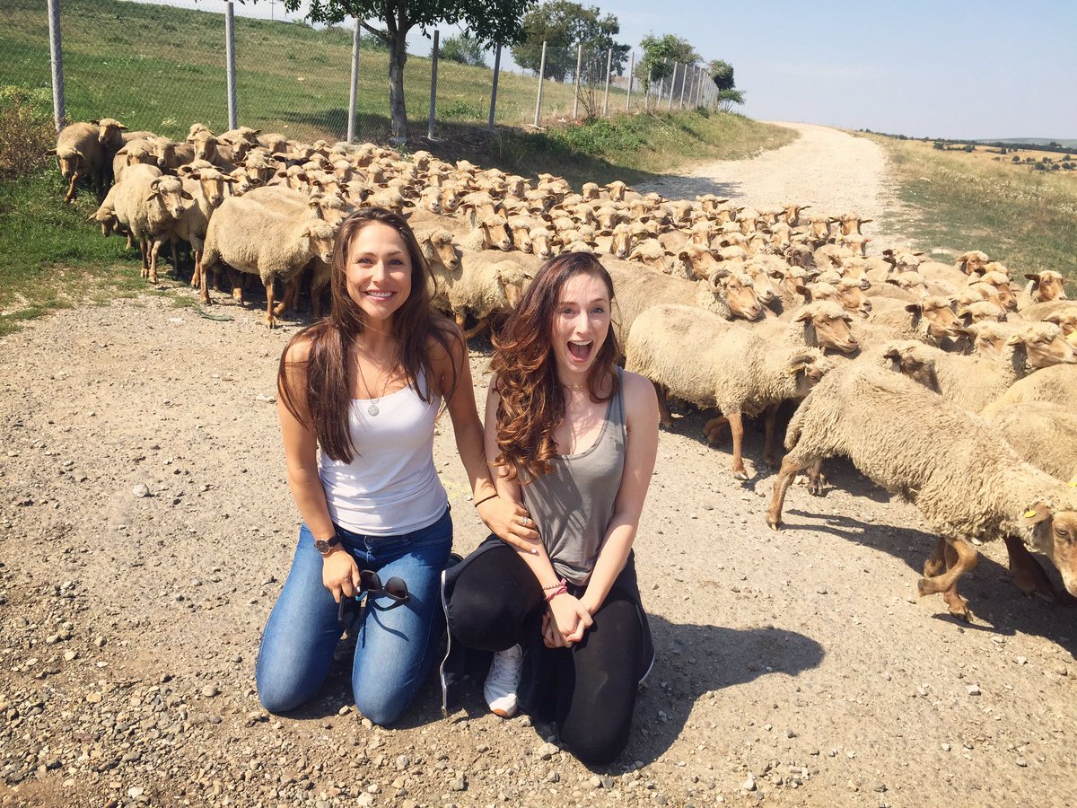 BeccaBuckalew's tweet photo. Excitement doesn't even begin to cover it. #turda #romania #roadtrip #cubpack #sheep  @Najarra https://t.co/gsMLlrcRQ4