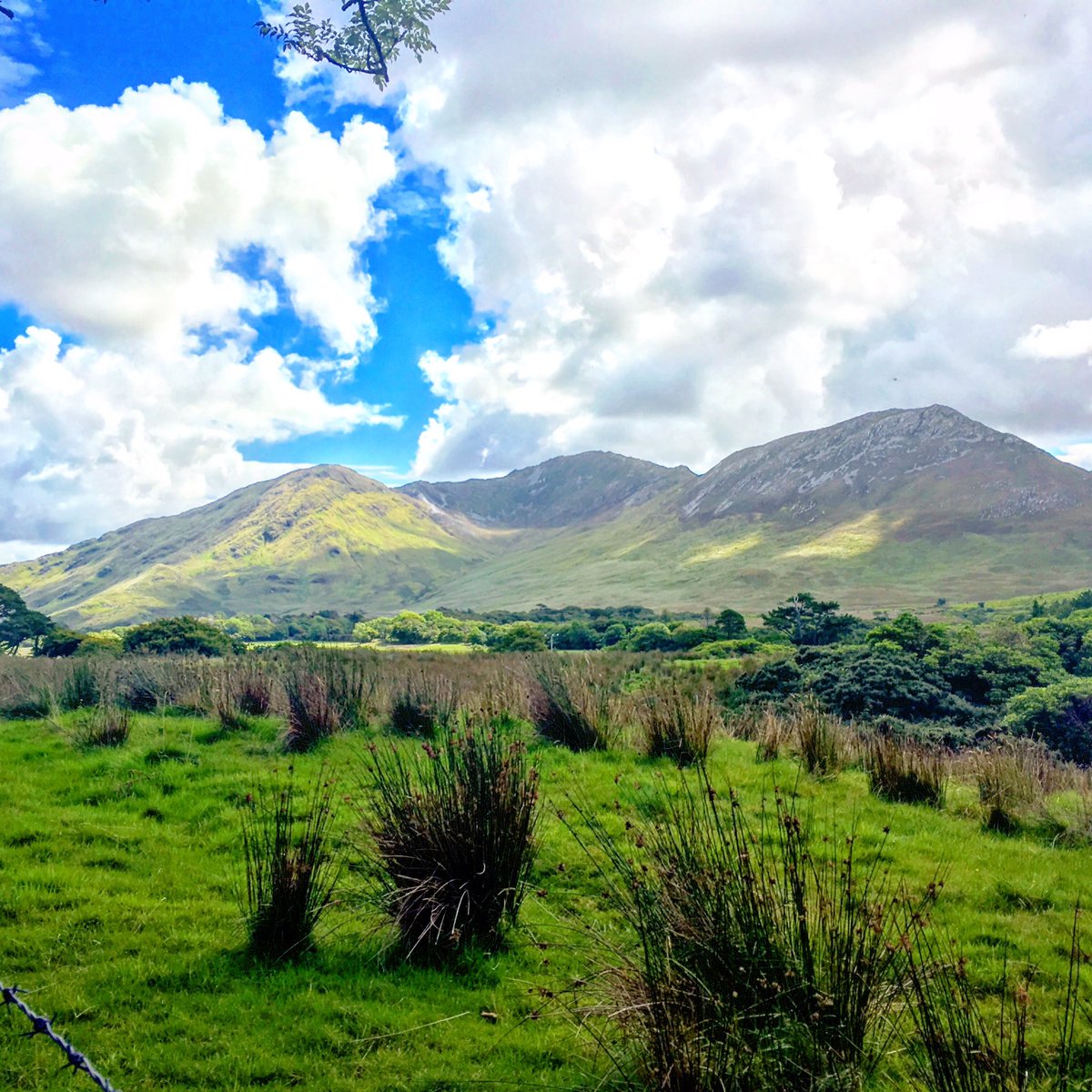 allydfontaine's tweet photo. #TravelTuesday -Ireland at Kylemore Abbey https://t.co/f5jzQRNX89