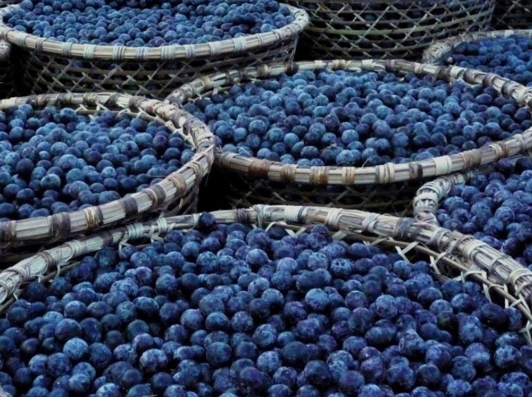 Latin Beet Kitchen tweet media