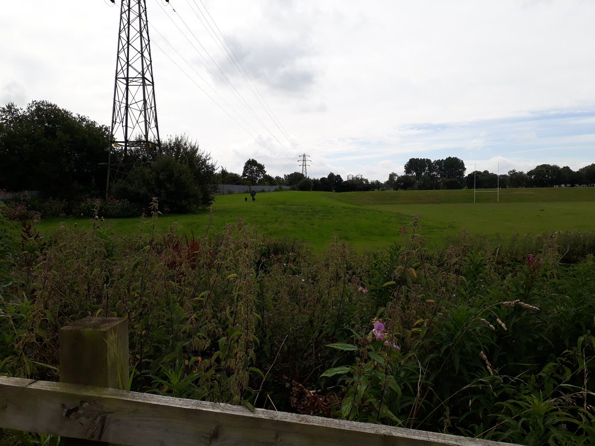 HighamsPF's tweet photo. Just 1 of several dog walkers using #highams this lunchtime https://t.co/TGJR9s9KcK