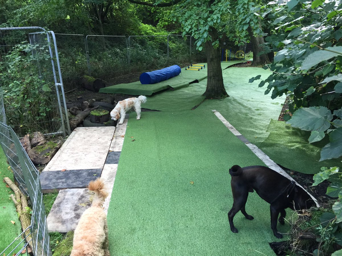 dog day care didsbury