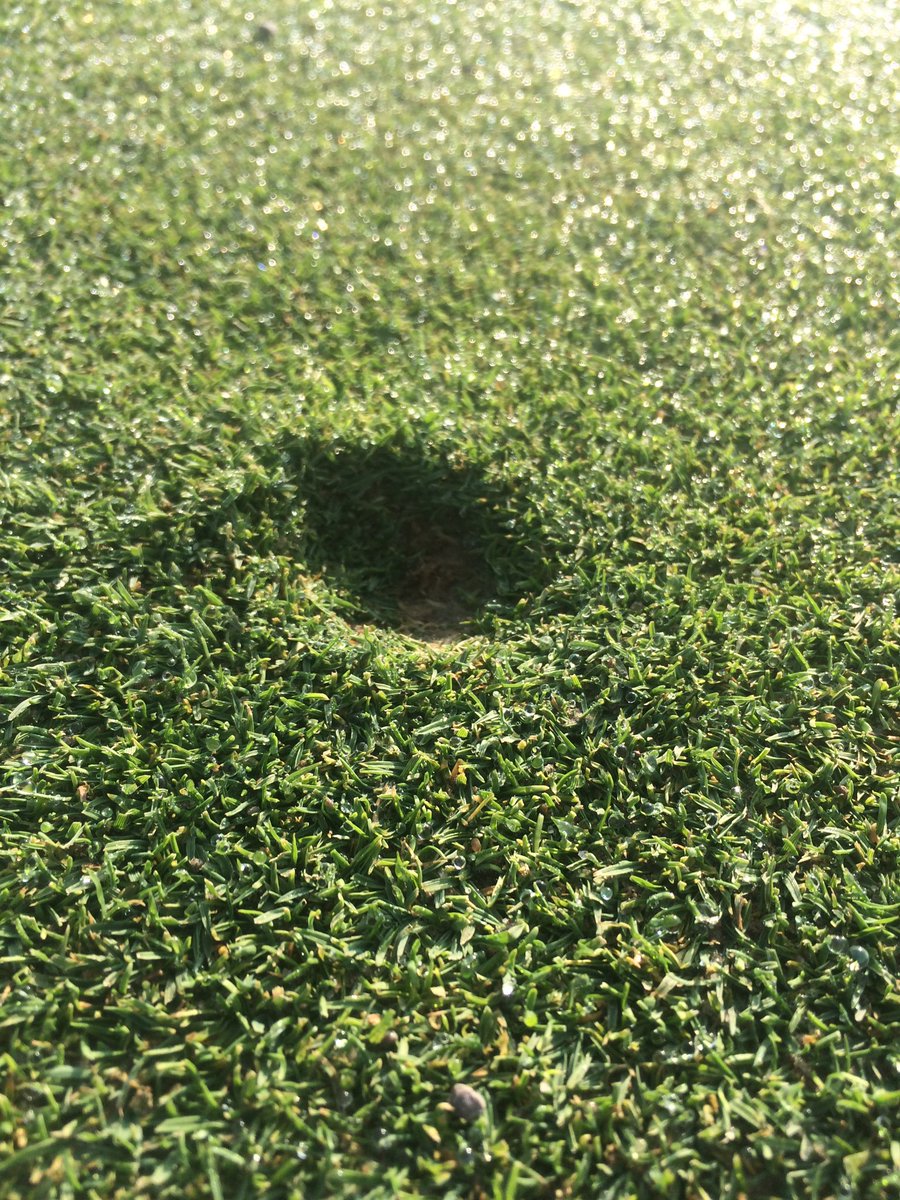 Public service announcement. This is a ball mark, they occur when a ball is hit onto a putting surface. It's your job as a golfer to fix it😃