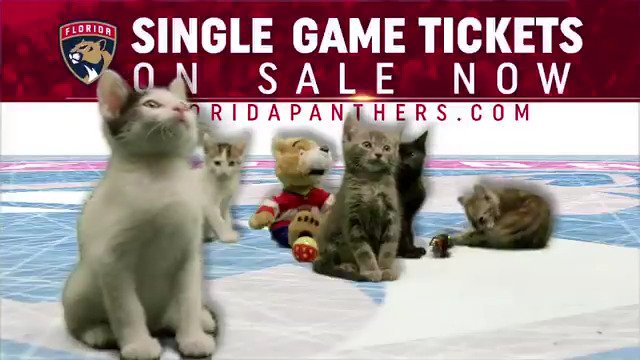 They're available now!  » bit.ly/Fla_Tix2017 https://t.co/AZHxx53Rnw