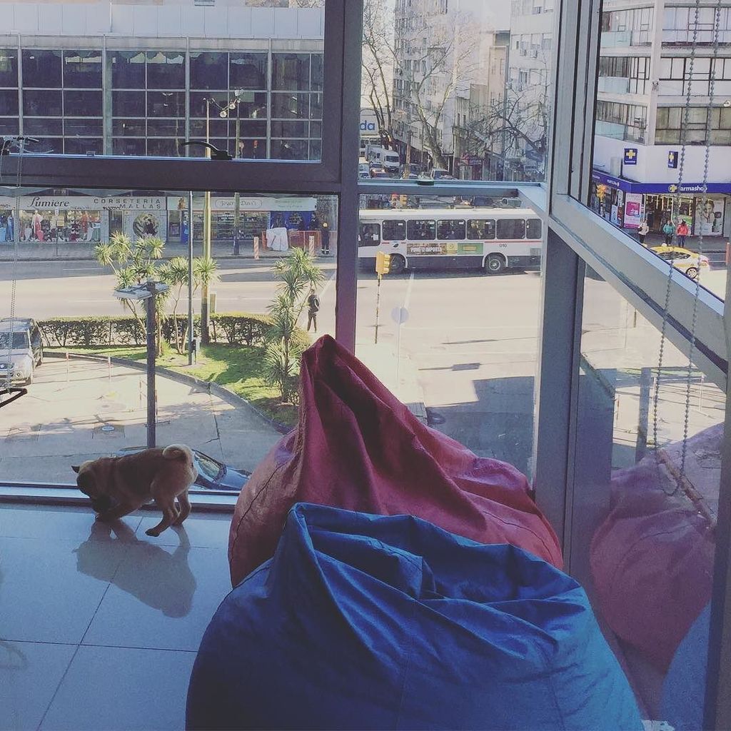 Deo Labs tweet media