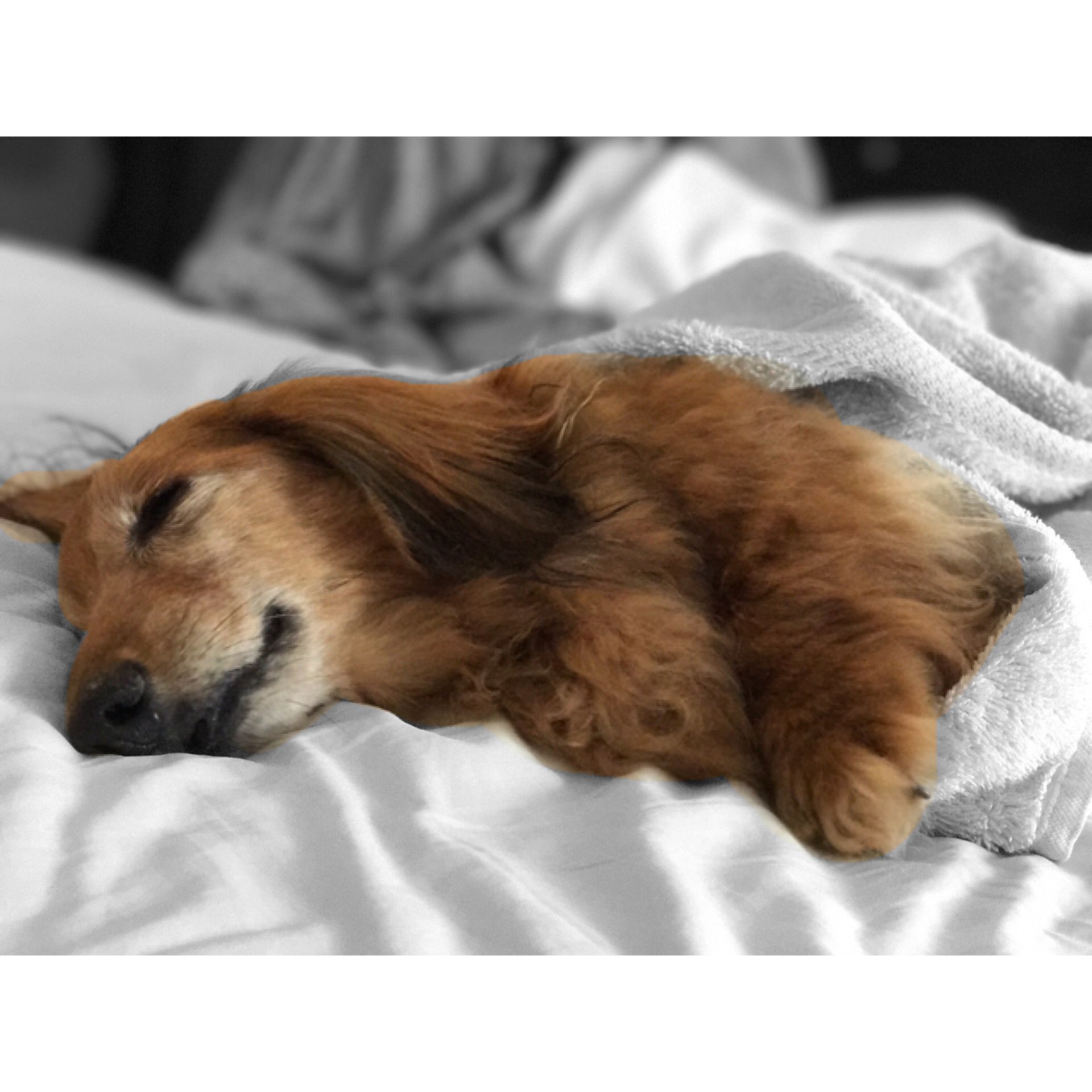 タカオユキ (takaoyuki_) / Twitter