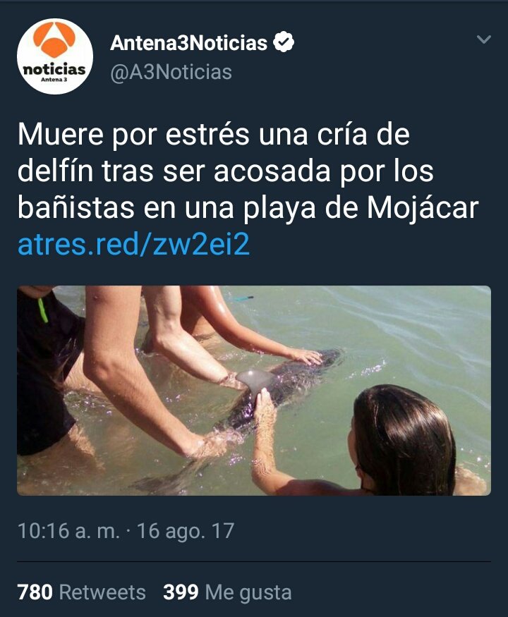 Mundochoto tweet media