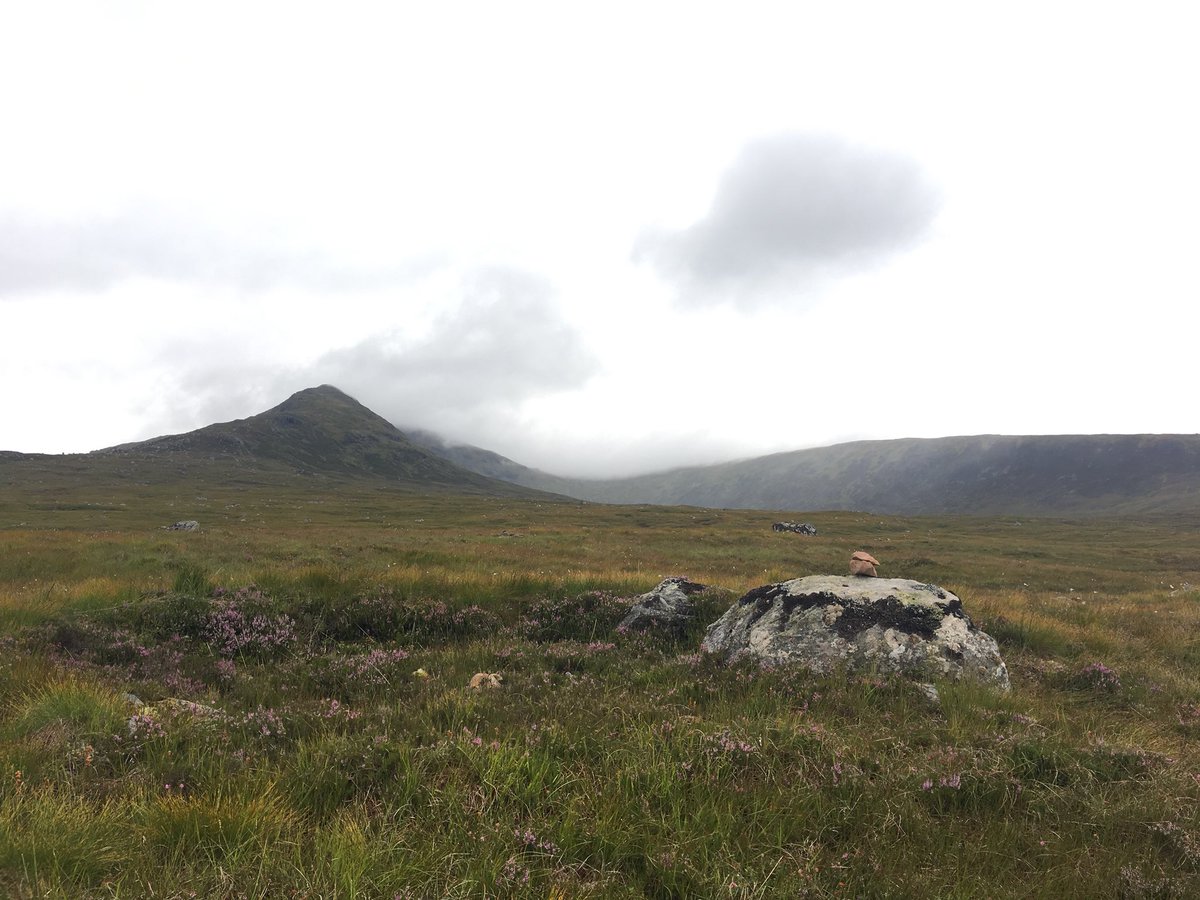 slowslippy's tweet photo. The rock where Spud lays flowers &amp; a letter for Tommy is still there, along with the rocks on top of the flowers! #T2Trainspotting #Corrour https://t.co/nG1XjJ4YrD